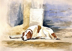 dog watercolor